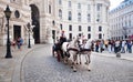 Horse drawn carriage, Hofburg Palace, Vienna, Austria Royalty Free Stock Photo