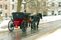 Horse drawn carriage