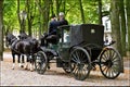 Horse drawn carriage Royalty Free Stock Photo