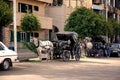 Horse-drawn carriages on the roadside in Aswan Royalty Free Stock Photo