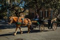 Horse drawn carriage in Savannah Royalty Free Stock Photo