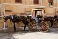 Horse-drawn carriage in a street in Valletta, Malta Royalty Free Stock Photo