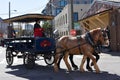 Horse-drawn carriage touring the streets. Royalty Free Stock Photo