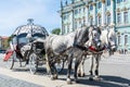Horse-drawn carriage for tourist transport on Palace Square Dvortsovaya pl in Saint Petersburg, Russia Royalty Free Stock Photo