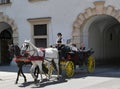 Horse drawn carriage for tourists in Vienna