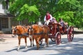 Horse drawn carriage tours in Williamsburg, Viginia, USA Royalty Free Stock Photo