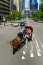 Horse drawn carriage tours, New York City