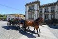 Horse drawn carriage tours in Guimaraes, Portugal Royalty Free Stock Photo