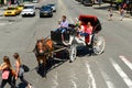 Horse drawn carriage tours, New York City