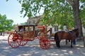 Horse drawn carriage tours in Williamsburg, Viginia, USA