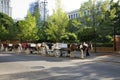 Horse drawn carriages Royalty Free Stock Photo