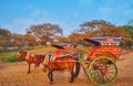 The horse-drawn carriages in Bagan, Myanmar Royalty Free Stock Photo