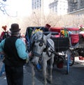 Horse-Drawn Carriages, Central Park, New York City, NY, USA Royalty Free Stock Photo