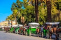 Horse-drawn carriages on the main square in Marrakech Royalty Free Stock Photo
