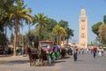 Horse-drawn carriages Marrakech Royalty Free Stock Photo