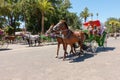 Horse-drawn carriages in Marrakech, Morocco Royalty Free Stock Photo