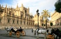 Horse-drawn carriages near cathedral, Seville Royalty Free Stock Photo