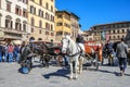 Horse-drawn carriages in the Piazza della Signoria in Florence Royalty Free Stock Photo