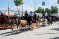 Horse drawn carriages at the Seville Fair. Royalty Free Stock Photo