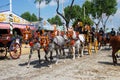 Horse drawn carriages at the Seville Fair. Royalty Free Stock Photo