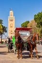 Horse-drawn carriages waiting for tourists at the Djemaa-el-Fna square near the Koutoubia mosque Royalty Free Stock Photo