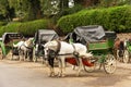 Horse drawn carriages waiting for tourists in Jemaa el-Fnaa square, Marrakesh Royalty Free Stock Photo