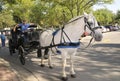 Horse drawn carriiage in Frankenmuth, Michigan Royalty Free Stock Photo