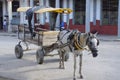 Horse drawn Cuban taxi