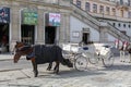 Horse-drawn Fiacre. Vienna, Austria. Royalty Free Stock Photo