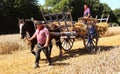 French man and horse and hay wagon Royalty Free Stock Photo