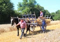 French men and horse and hay wagon Royalty Free Stock Photo