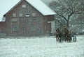 Horse drawn farm manure spreader during winter snow squall Royalty Free Stock Photo