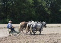 Horse Drawn Plow and Farmer