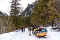 Horse-drawn sledge with tourists