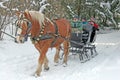 Horse drawn sleigh Royalty Free Stock Photo