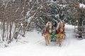 Horse drawn sleigh in Vermont winter snow Royalty Free Stock Photo