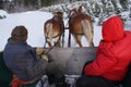 Horse-drawn sleigh by Peter J. Restivo Royalty Free Stock Photo