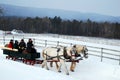 A horse drawn sleigh tours the country side during a snow fall Royalty Free Stock Photo