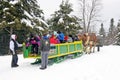 Horse drawn sleigh Royalty Free Stock Photo