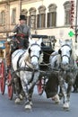 Horse drawn taxi in Florence city , Italy