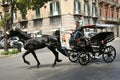 Horse drawn taxi in P