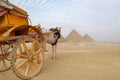 Horse-drawn vehicle near pyramids on Giza plateau, Cairo, Egypt Royalty Free Stock Photo