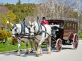 Horse-drawn vintage carriage transports guests to the Grand Hotel Royalty Free Stock Photo