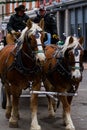 Horse-drawn wagon ride Royalty Free Stock Photo