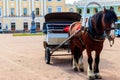 Horse-drawn Wagon On The Square At Pavlovsk Palace In Pavlovsk  Russia
