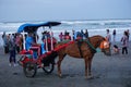 Horse-drawn waiting for passenger on parang tritis beach, Yogyakarta. Indonesian call it dokar, delman or andong