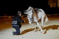 Horse dressage night show, Hasta Luego stable at Thillombois castle in the Meuse