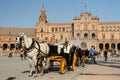 Horse-driven barouche with tourists at Plaza de Espana