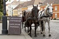 Horse-driven cab.