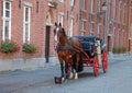 Horse-driven cab in Bruges Royalty Free Stock Photo